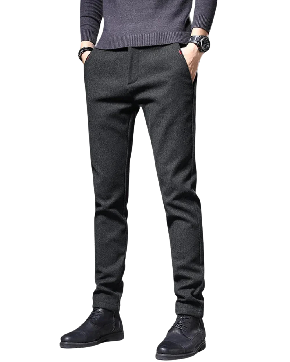 Remo Slim Fit Pants